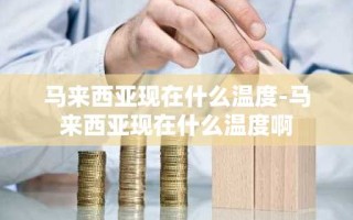 马来西亚现在什么温度-马来西亚现在什么温度啊