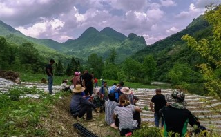 走好巴蜀大山里的乡村振兴路