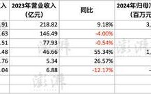2024年境内酒店住宿行业指标同比下滑：酒店行业传统增长模式面临挑战