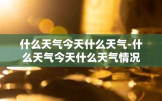 什么天气今天什么天气-什么天气今天什么天气情况