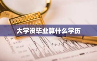 大学没毕业算什么学历