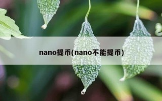 nano提币(nano不能提币)