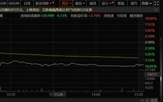 国城矿业重启收购国城实业背后：标的估值大增、100%股权质押