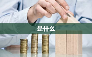 是什么
