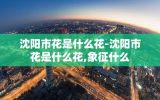 沈阳市花是什么花-沈阳市花是什么花,象征什么