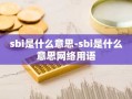 sbi是什么意思-sbi是什么意思网络用语