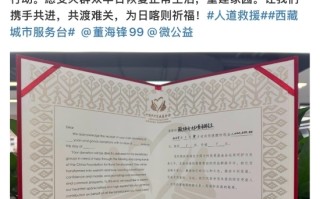 薇娅夫妇捐赠100万元驰援西藏地震灾区