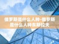 俄罗斯是什么人种-俄罗斯是什么人种东斯拉夫