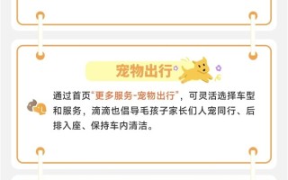 助力出行 滴滴发布五一出行十大服务保障