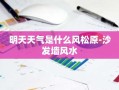 明天天气是什么风松原-沙发墙风水
