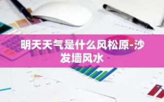 明天天气是什么风松原-沙发墙风水