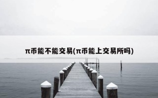 π币能不能交易(π币能上交易所吗)