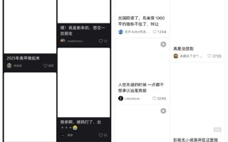 小红书崩了：手机界面白屏