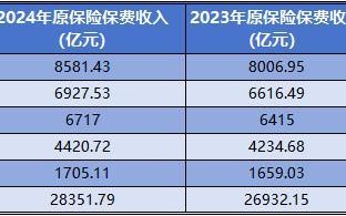 五大A股上市险企2024年实现原保费收入近2.84万亿元 同比增长5.3%