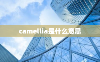 camellia是什么意思