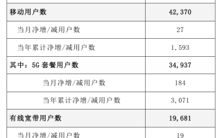 中国电信2024年11月5G套餐用户净增184万户