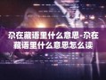 尕在藏语里什么意思-尕在藏语里什么意思怎么读