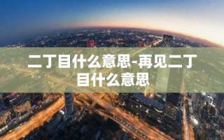 二丁目什么意思-再见二丁目什么意思