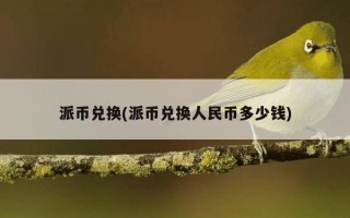 派币兑换(派币兑换人民币多少钱)