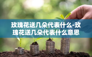 玫瑰花送几朵代表什么-玫瑰花送几朵代表什么意思