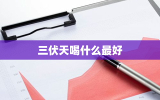三伏天喝什么最好
