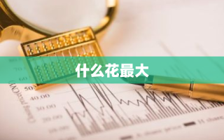 什么花最大