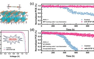 中国科学院宁波大学成功抑制碘离子迁移 提升钙钛矿电池稳定性