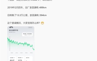 中国第一批进口特斯拉Model 3电池现状：跑了13.3万公里 如今满电表显394km