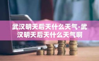 武汉明天后天什么天气-武汉明天后天什么天气啊