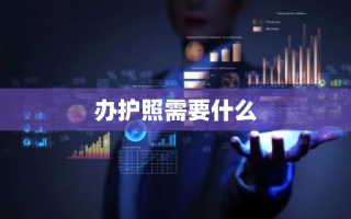 办护照需要什么