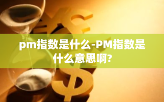 pm指数是什么-PM指数是什么意思啊?