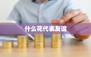 什么花代表友谊