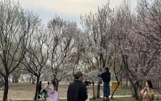 “花样经济”何以动人心？