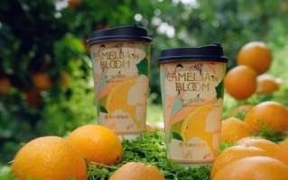 开辟“花香水果轻乳茶”品类新蓝海 书亦“橙漫山茶花”回归一周销量突破200万杯