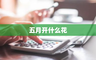 五月开什么花