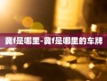 冀f是哪里-冀f是哪里的车牌