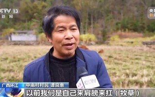 再访脱贫村 振兴气象新丨中南村：因地制宜强产业 群众增收有后劲