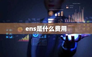 ens是什么费用