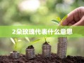 2朵玫瑰代表什么意思