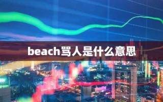 beach骂人是什么意思