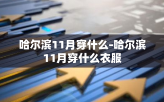 哈尔滨11月穿什么-哈尔滨11月穿什么衣服