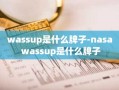 wassup是什么牌子-nasa wassup是什么牌子