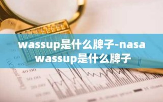 wassup是什么牌子-nasa wassup是什么牌子