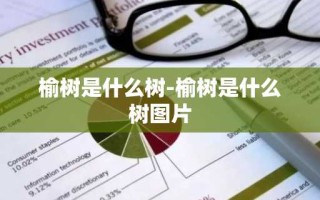 榆树是什么树-榆树是什么树图片