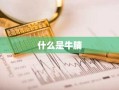 什么是牛腩