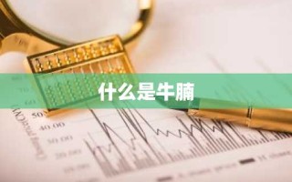 什么是牛腩