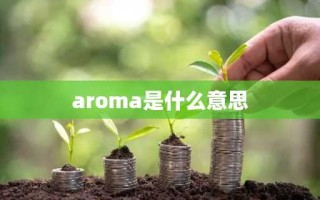 aroma是什么意思