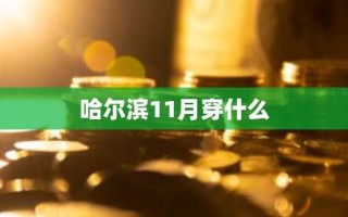 哈尔滨11月穿什么