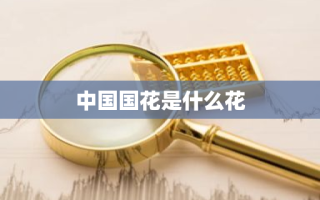 中国国花是什么花