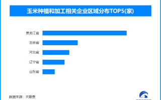 中储粮增加玉米收储规模，积极发挥稳市场稳预期作用